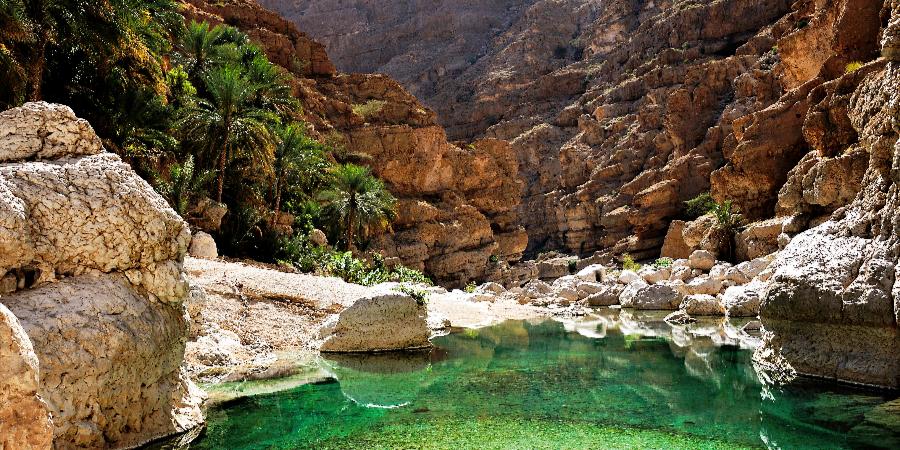 Piscina naturale di Wadi Shab